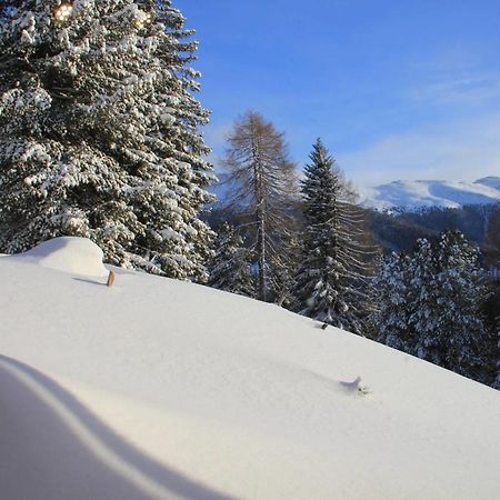 Chalet Claassen by Seebnb Turracher Hohe Eksteriør bilde